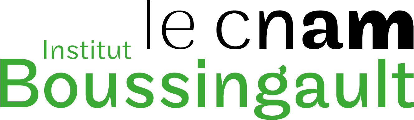 Logo de l'Institut le Cnam Boussingault avec le texte 'le cnam' en noir et 'Institut Boussingault' en vert.