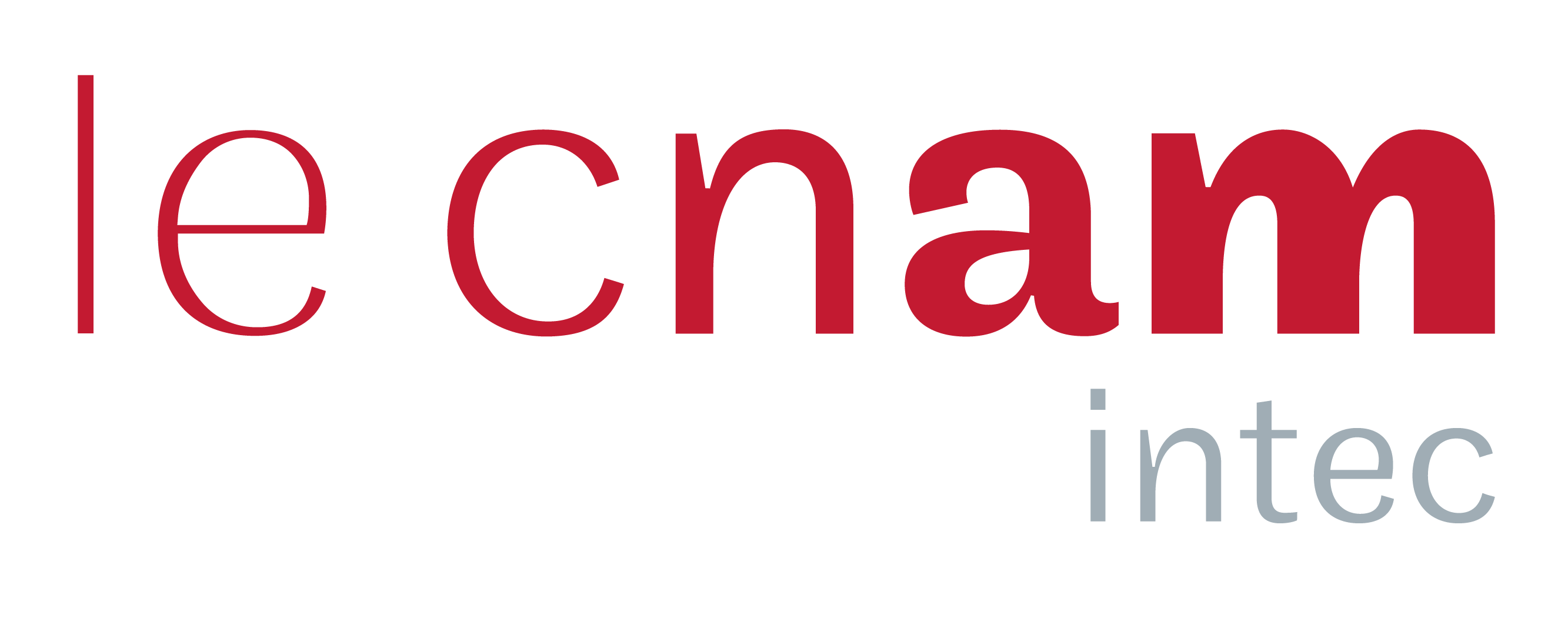 logo de le Cnam Intec avec le texte "le cnam" en rouge et  "intec" gris